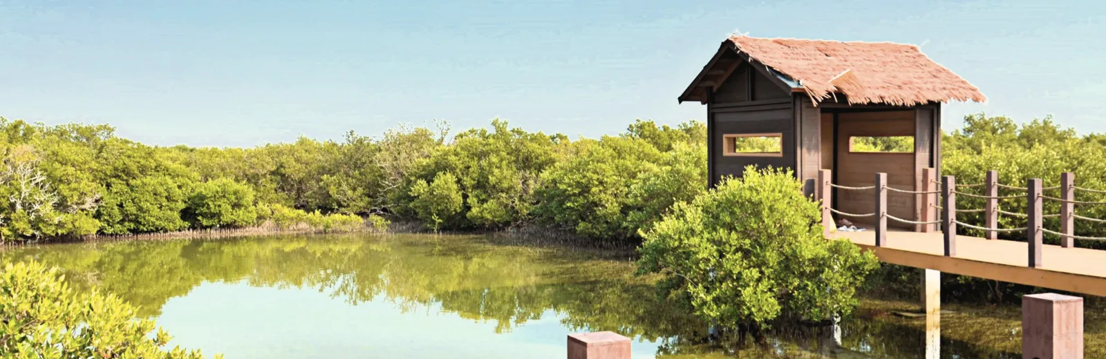 Север Катара — панорама